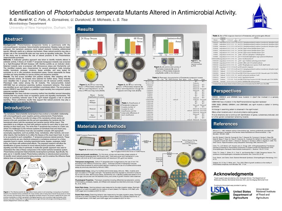 Identification Of Photorhabdus Temperata Mutants Altered In Antimicrobial Activity. by sgg26